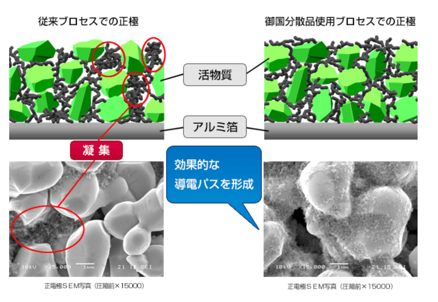 導電ネットワークの研究イメージ